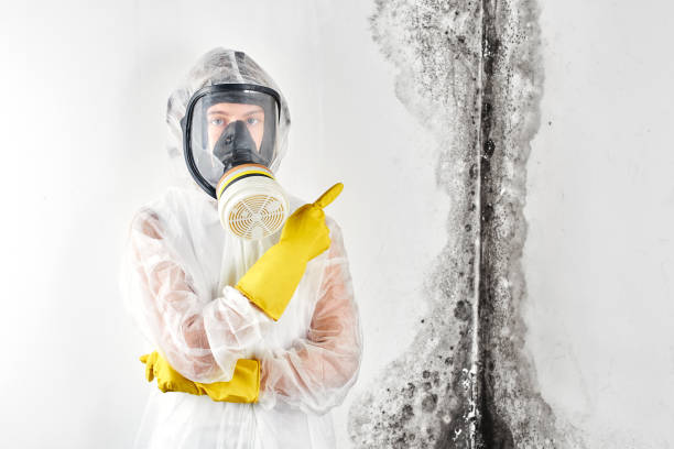 Biohazard Mold Removal in Evans, GA