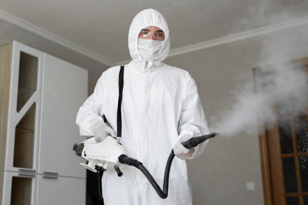 Mold Odor Removal Services in Evans, GA